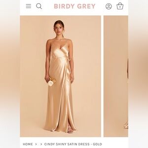 Birdy Grey — Cindy Dress — Shiny Satin — Gold